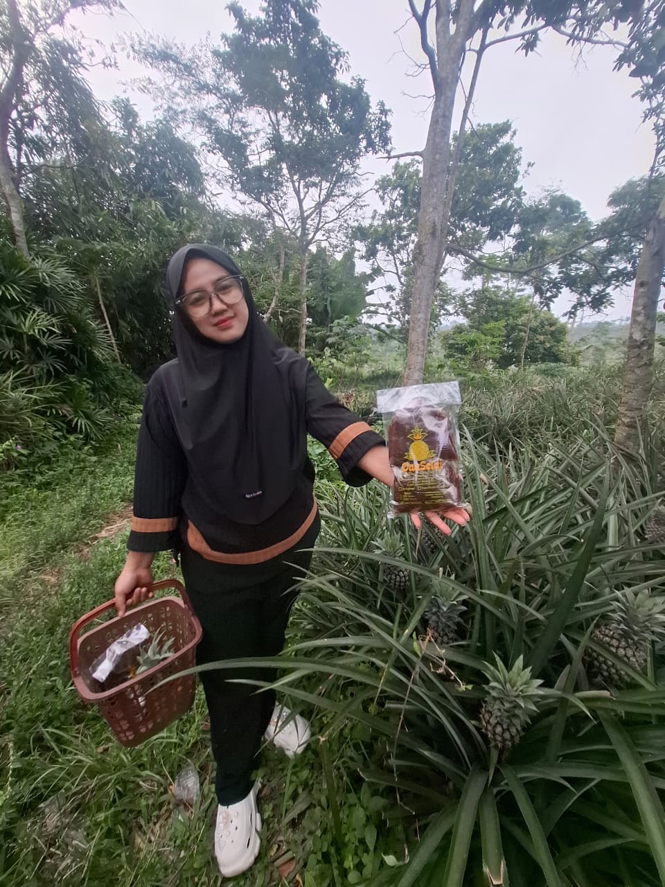 Kebun Nanas Belik